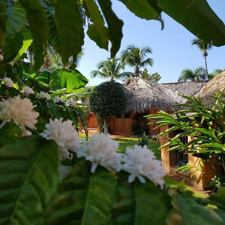 Solazul Bed & Breakfast Las Galeras Exterior photo