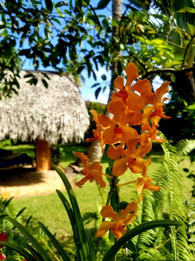 Solazul Bed & Breakfast Las Galeras Exterior photo