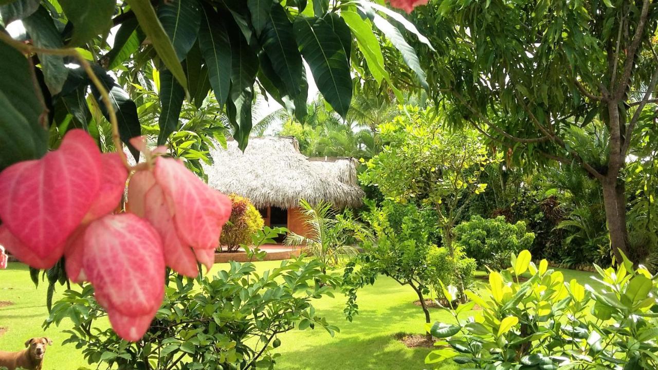 Solazul Bed & Breakfast Las Galeras Exterior photo