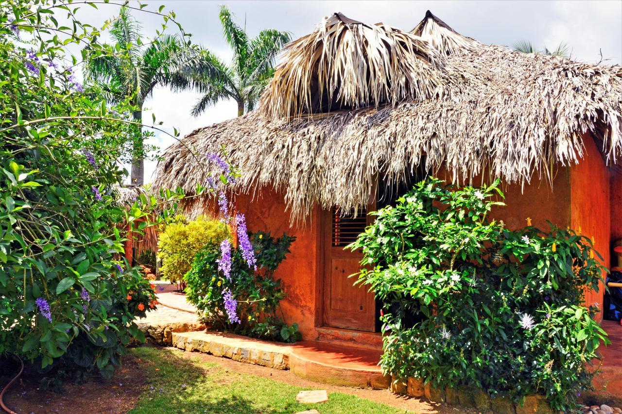 Solazul Bed & Breakfast Las Galeras Exterior photo