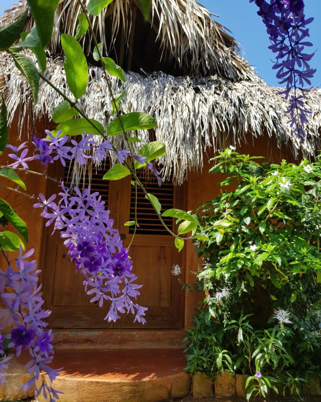 Solazul Bed & Breakfast Las Galeras Exterior photo